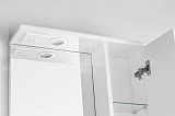 Зеркальный шкаф Style Line Олеандр-2 55х83/С