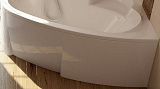 Передняя панель для ванны Ravak Asymmetric L 170 + крепеж CZ48100000