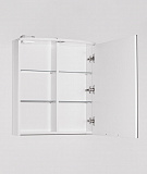 Зеркальный шкаф Style Line Жасмин 2 60х72/С