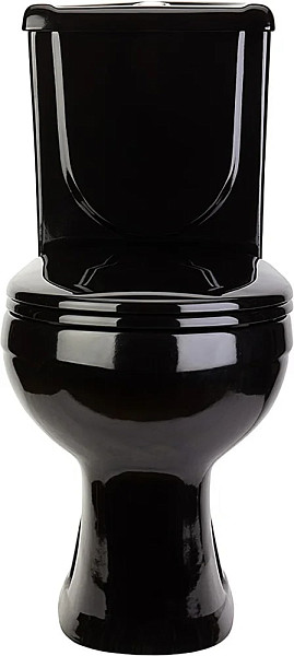 Унитаз-компакт Оскольская керамика Ирида Стандарт, с горизонтальным выпуском, черный