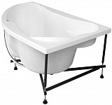 Каркас сварной для акриловой ванны Aquanet Capri 170x110 L/R 00242142