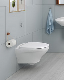 Унитаз подвесной Gustavsberg Estetic Hygienic Flush GB1183300R1030 безободковый, сиденье с микролифтом