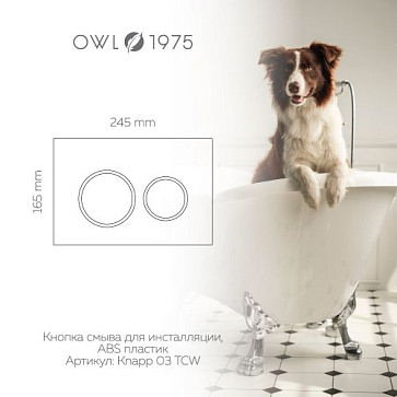 Кнопка смыва Titan Ceramic White для инсталляции Hasvik (Хасвик), ABS пластик
