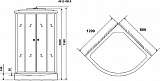 Душевая кабина Niagara Eco  NG-4512-14R