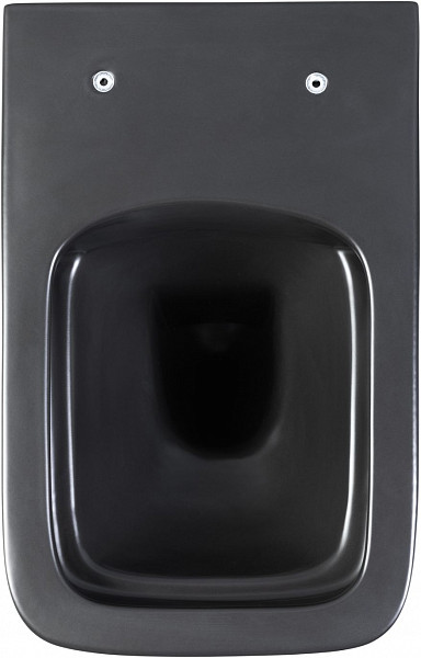 Унитаз подвесной Aquanet Rimless Tavr-W BL-103N-WHT black черный матовый TAVR-W BW