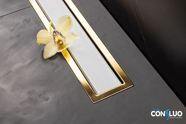 Душевой лоток Pestan Confluo Premium Line 300 White Glass Gold
